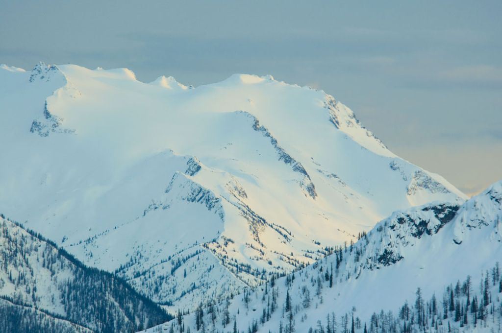 kokanee-glacier picture