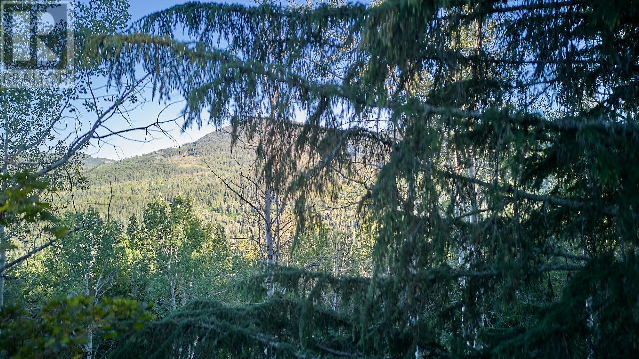 Lot 3 3b Highway, Rossland, British Columbia  V0G 1Y0 - Photo 59 - 2465879