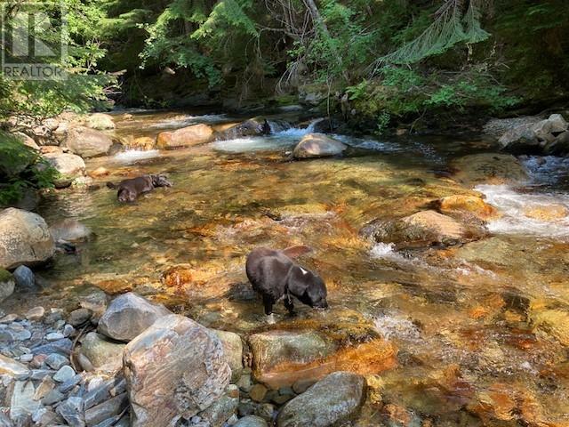 2345 Sheep Crk Frst Road, Salmo, British Columbia  V0G 1Z0 - Photo 34 - 2467843