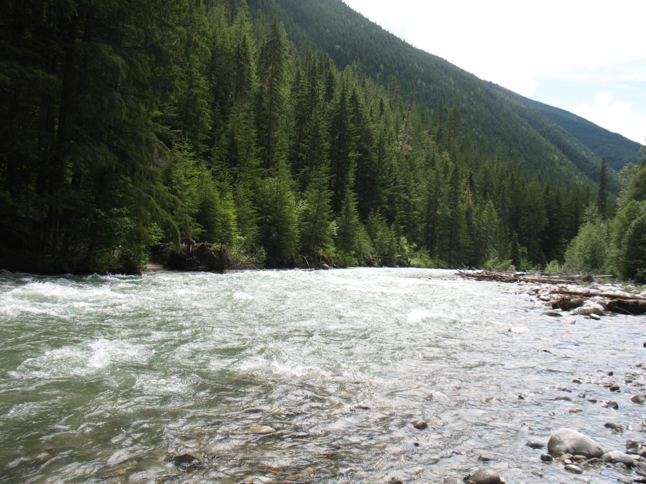 100 Glacier Creek Fsr, Kaslo, British Columbia  V0G 1M0 - Photo 8 - 2468480