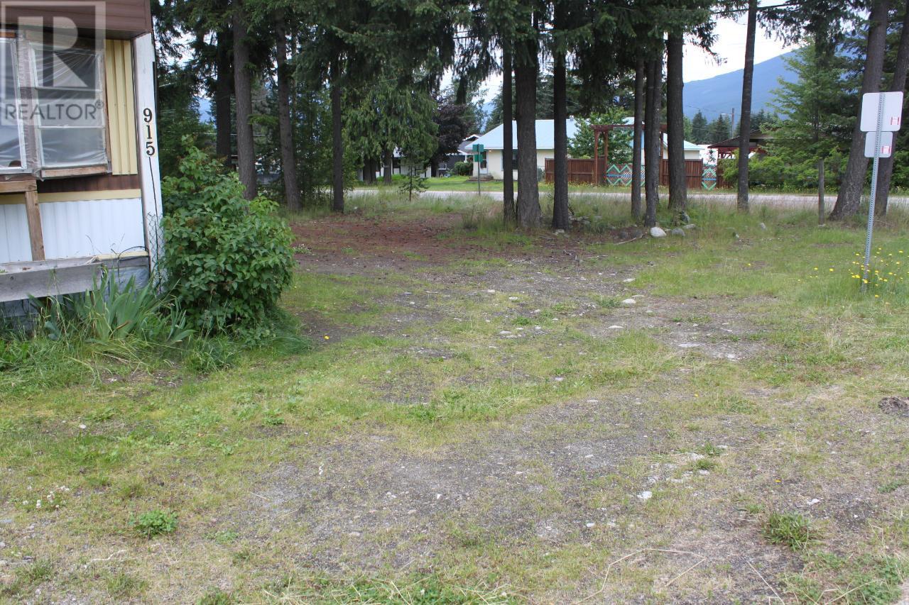 915 23 Highway, Nakusp, British Columbia  V0G 1R0 - Photo 1 - 2470239