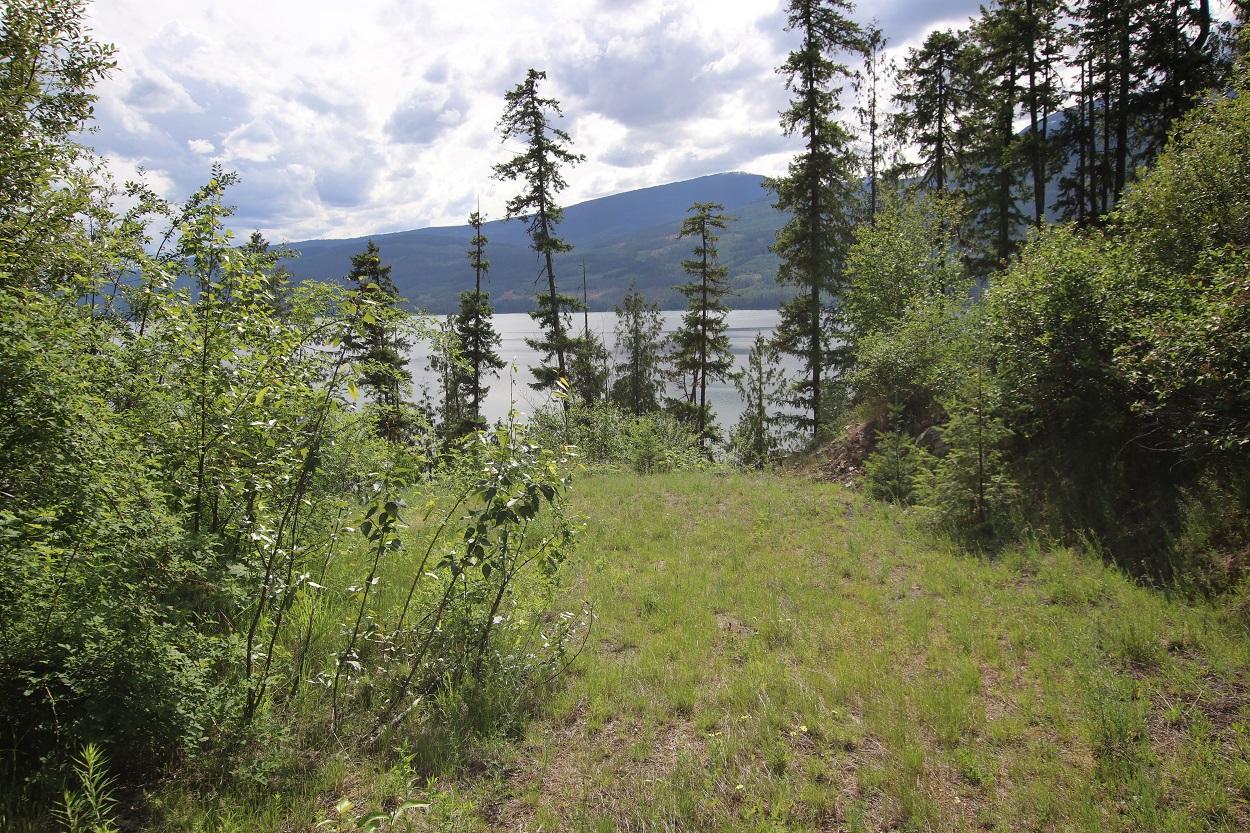 Lot B Highway 23, Nakusp, British Columbia  V0G 1R1 - Photo 1 - 2471621