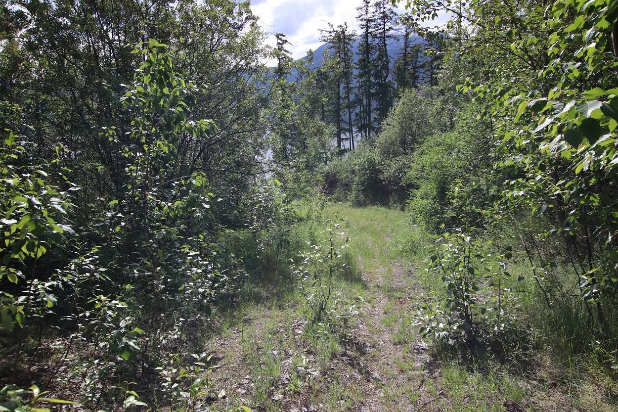 Lot B Highway 23, Nakusp, British Columbia  V0G 1R1 - Photo 10 - 2471621