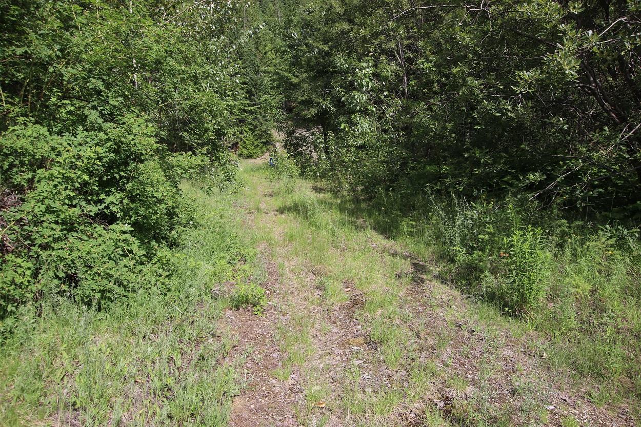 Lot B Highway 23, Nakusp, British Columbia  V0G 1R1 - Photo 11 - 2471621