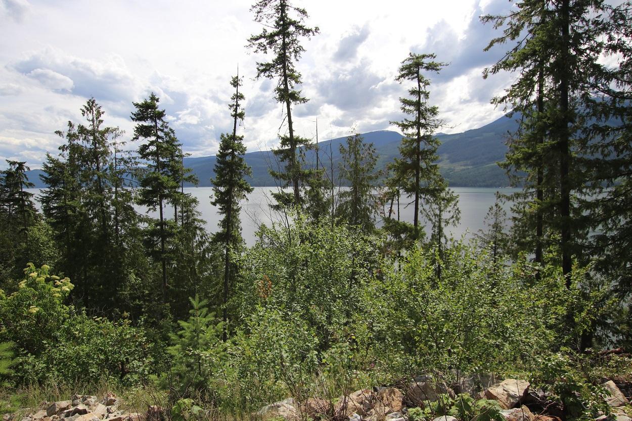 Lot B Highway 23, Nakusp, British Columbia  V0G 1R1 - Photo 12 - 2471621