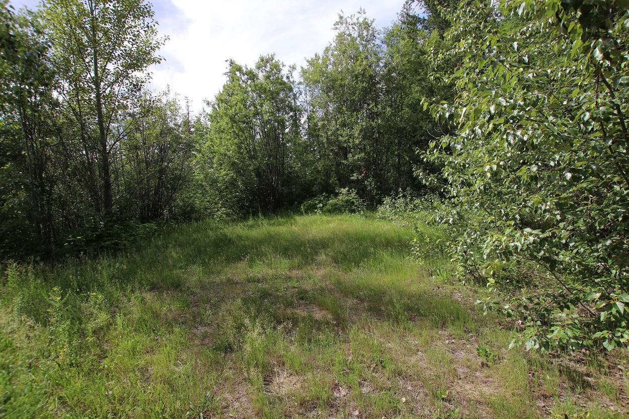 Lot B Highway 23, Nakusp, British Columbia  V0G 1R1 - Photo 13 - 2471621