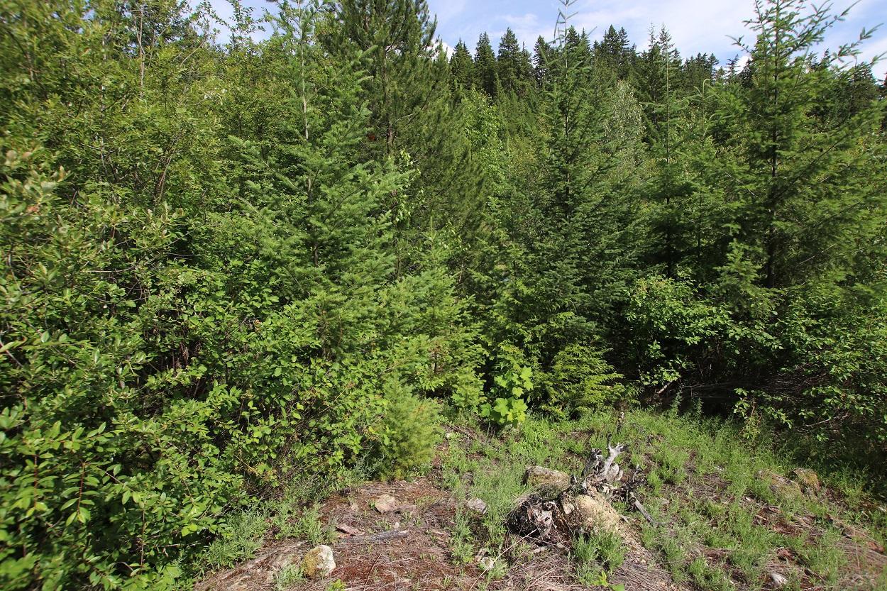 Lot B Highway 23, Nakusp, British Columbia  V0G 1R1 - Photo 16 - 2471621