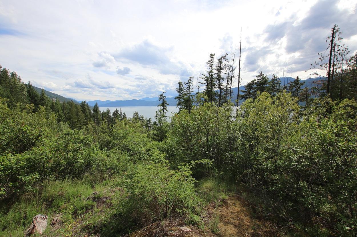 Lot B Highway 23, Nakusp, British Columbia  V0G 1R1 - Photo 2 - 2471621