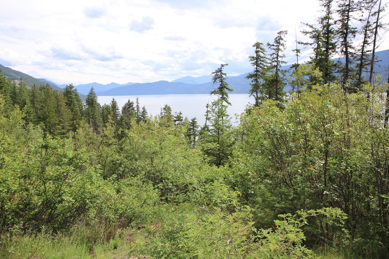 Lot B Highway 23, Nakusp, British Columbia  V0G 1R1 - Photo 4 - 2471621