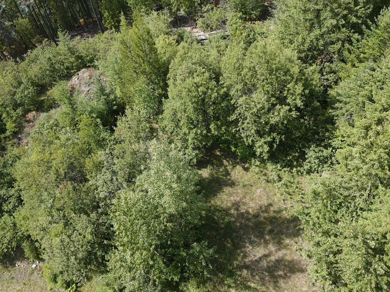 Lot B Highway 23, Nakusp, British Columbia  V0G 1R1 - Photo 9 - 2471621