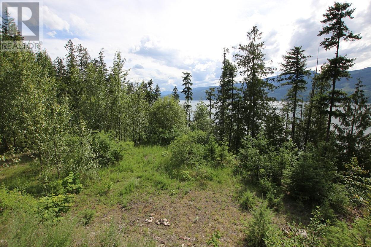 5959 23 Highway, Nakusp, British Columbia  V0G 1R1 - Photo 11 - 2471622