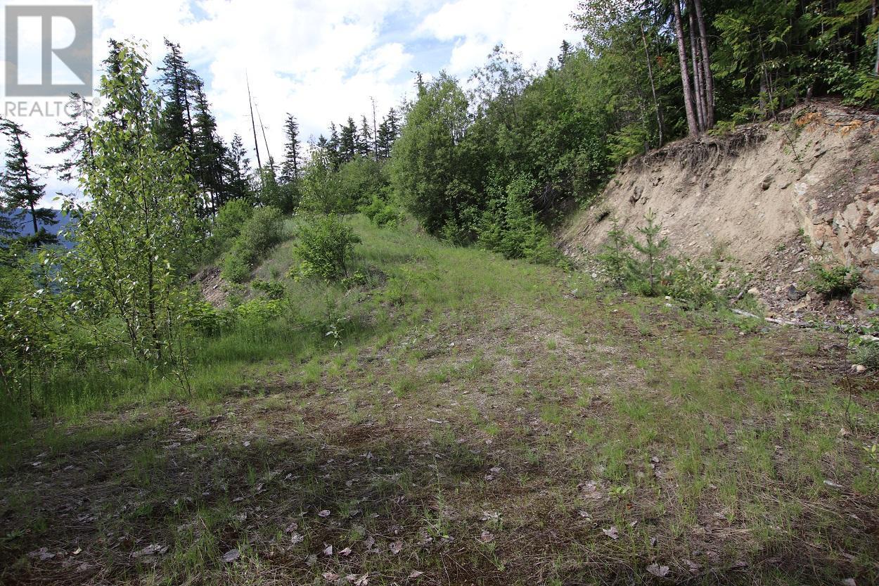 5959 23 Highway, Nakusp, British Columbia  V0G 1R1 - Photo 15 - 2471622