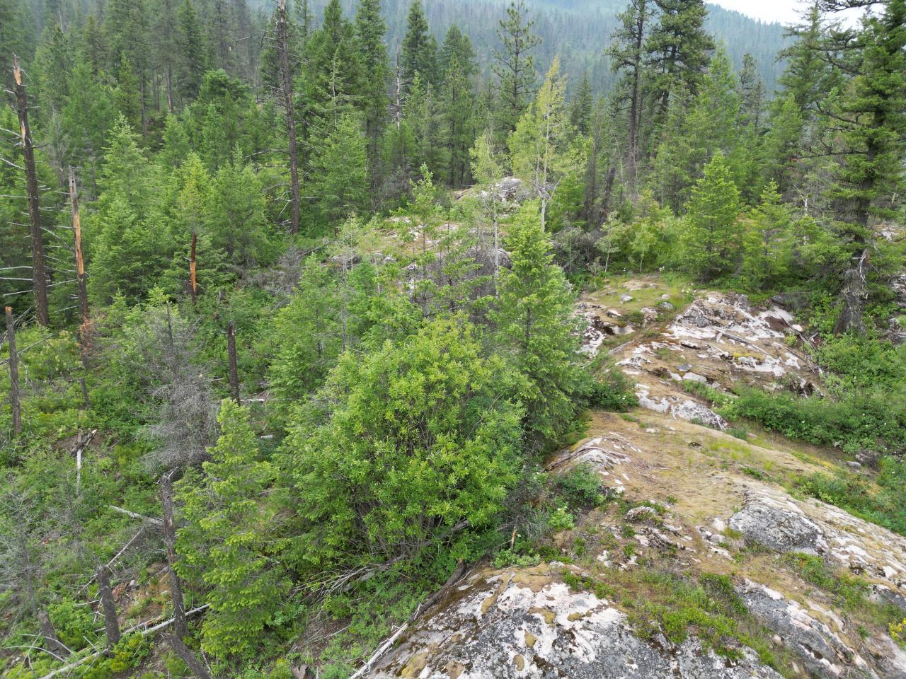 Lot 1 Erie-Ross Spur Road, Salmo, British Columbia  V0G 1Z0 - Photo 10 - 2472497