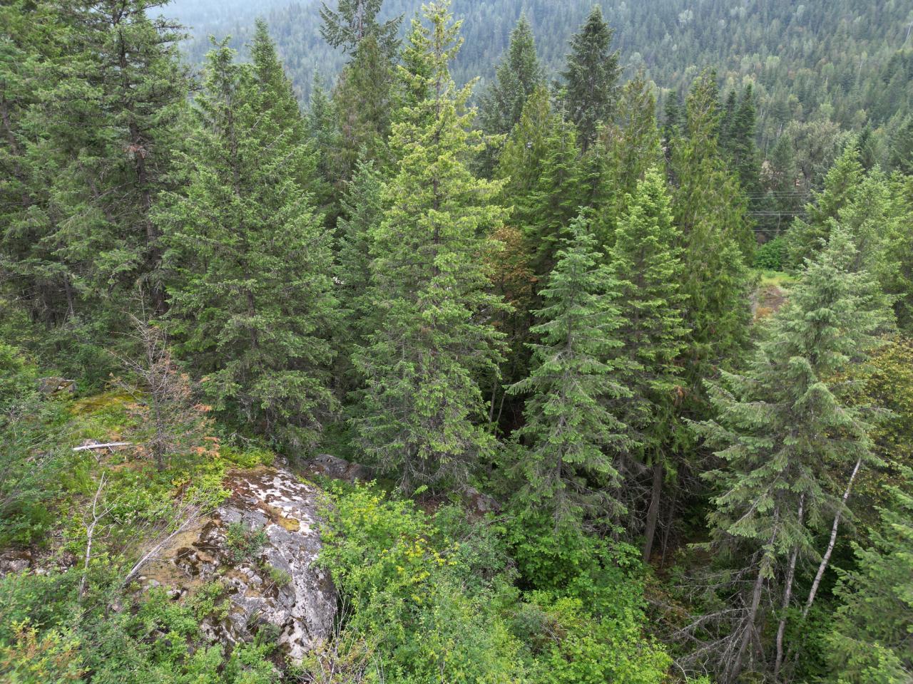 Lot 1 Erie-Ross Spur Road, Salmo, British Columbia  V0G 1Z0 - Photo 12 - 2472497