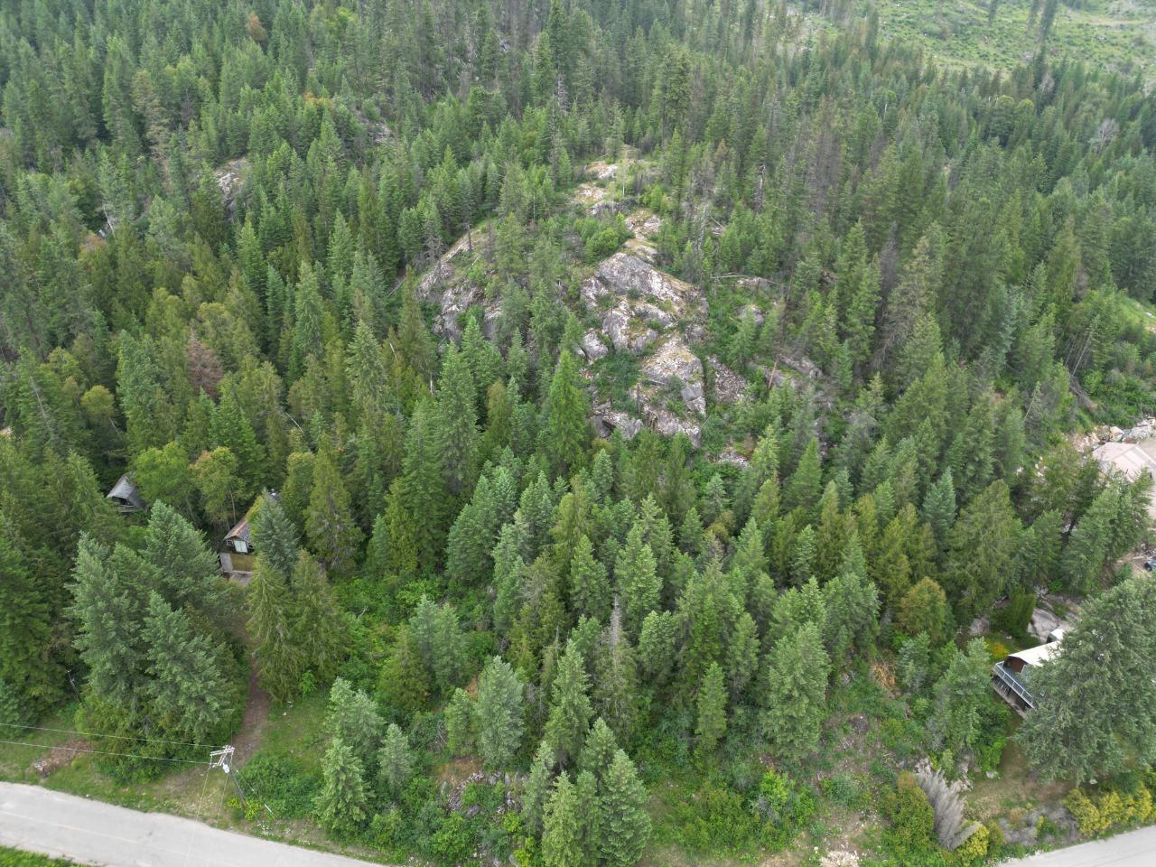 Lot 1 Erie-Ross Spur Road, Salmo, British Columbia  V0G 1Z0 - Photo 4 - 2472497