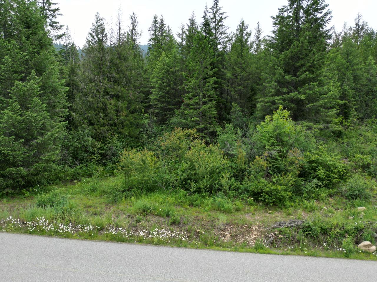Lot 1 Erie-Ross Spur Road, Salmo, British Columbia  V0G 1Z0 - Photo 5 - 2472497