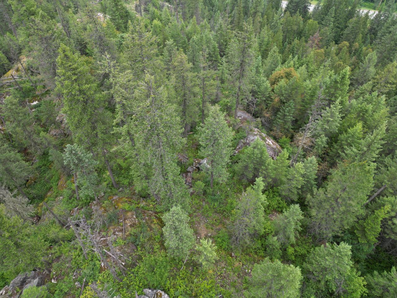 Lot 1 Erie-Ross Spur Road, Salmo, British Columbia  V0G 1Z0 - Photo 6 - 2472497