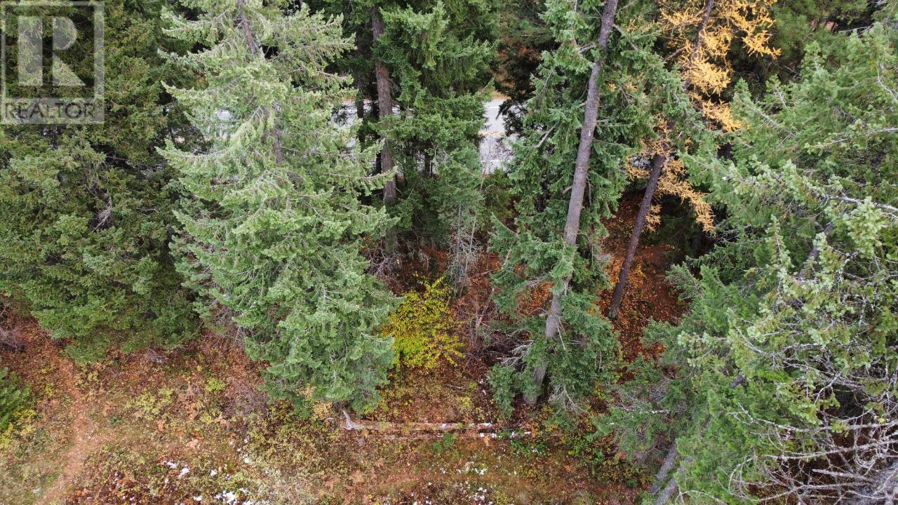 Lot L View Ridge Road, Nelson, British Columbia  V0G 2G0 - Photo 15 - 2473882