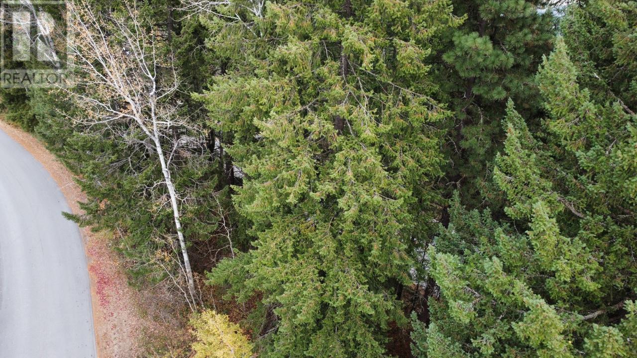 Lot L View Ridge Road, Nelson, British Columbia  V0G 2G0 - Photo 16 - 2473882