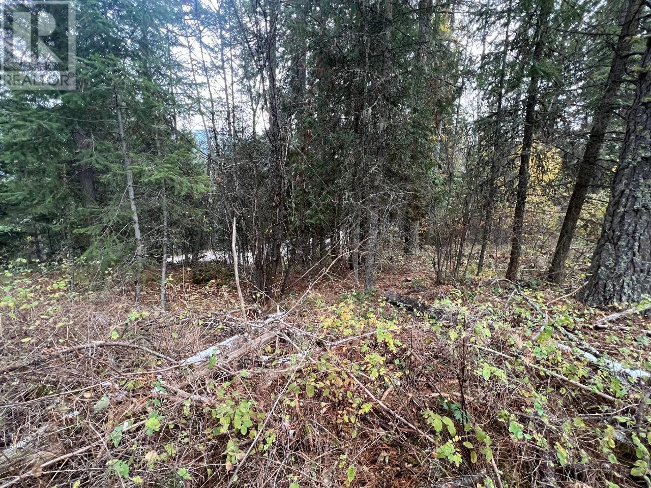 Lot L View Ridge Road, Nelson, British Columbia  V0G 2G0 - Photo 21 - 2473882