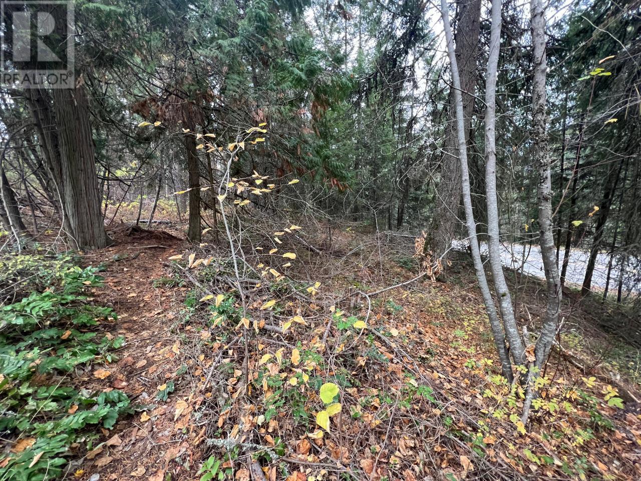 Lot L View Ridge Road, Nelson, British Columbia  V0G 2G0 - Photo 24 - 2473882