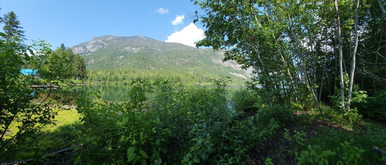 206 Island View Road, Nakusp, British Columbia  V0G 1R1 - Photo 1 - 2475414