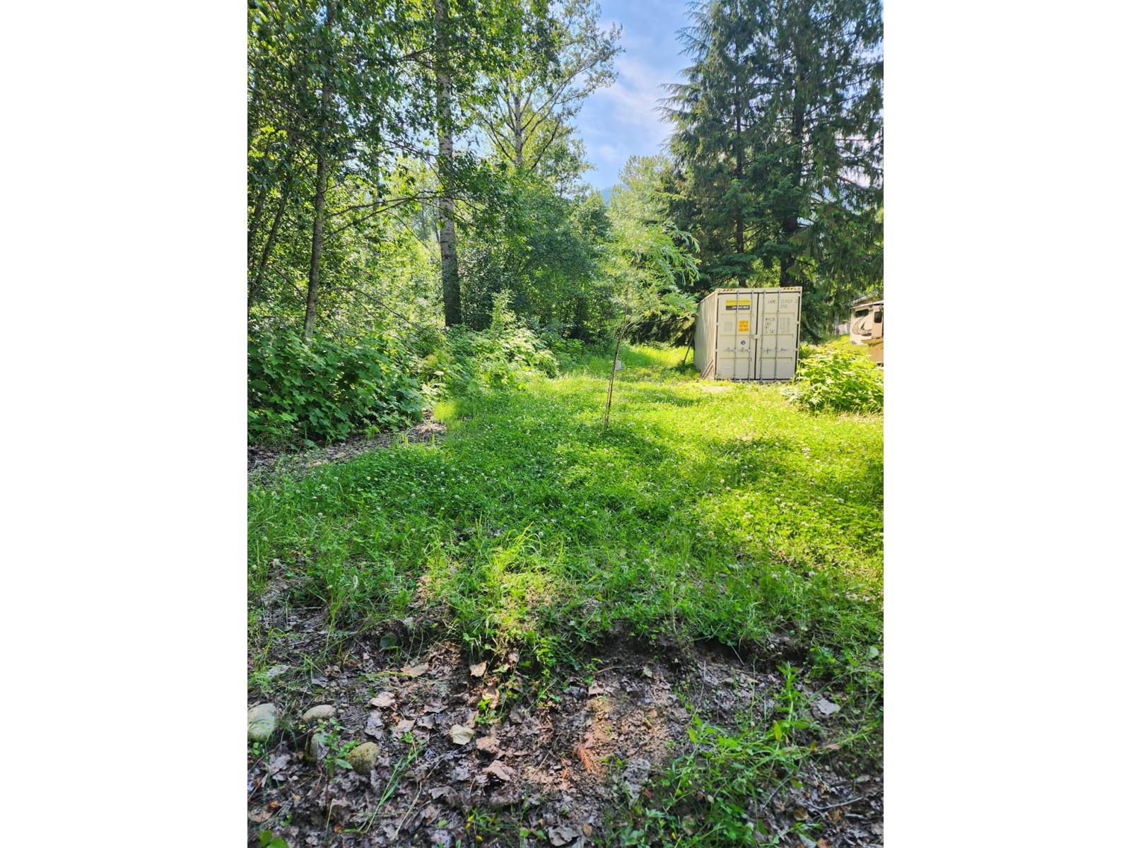 206 Island View Road, Nakusp, British Columbia  V0G 1R1 - Photo 17 - 2475414