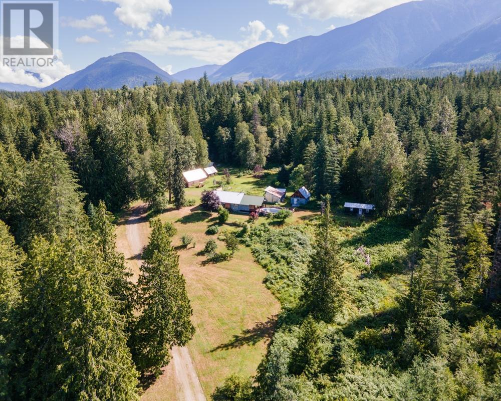 589 Sagacious Road, Nakusp, British Columbia  V0G 1R2 - Photo 17 - 2475556