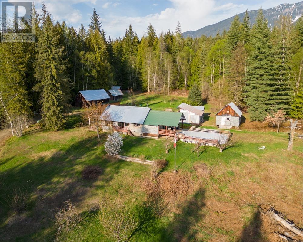 589 Sagacious Road, Nakusp, British Columbia  V0G 1R2 - Photo 3 - 2475556