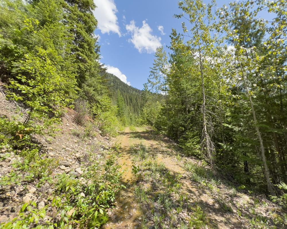 Dl 7837 Highway 31, Poplar Creek, British Columbia  V0G 1N0 - Photo 25 - 2476038