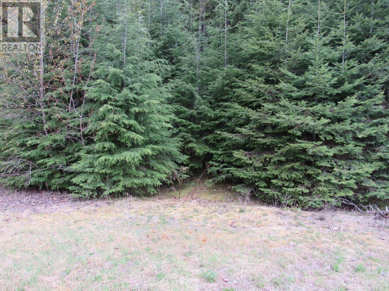 Lot B 3 Highway, Salmo, British Columbia  V0G 1Z0 - Photo 1 - 2476526