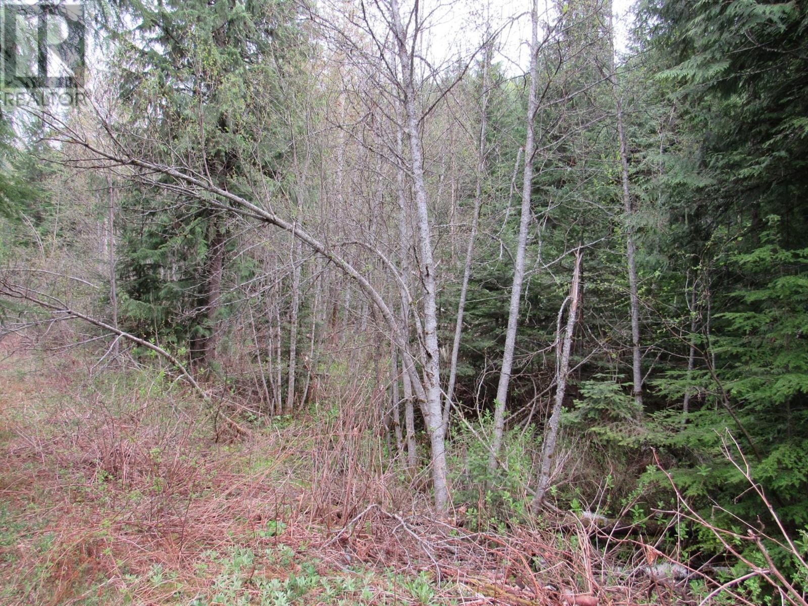 Lot B 3 Highway, Salmo, British Columbia  V0G 1Z0 - Photo 11 - 2476526