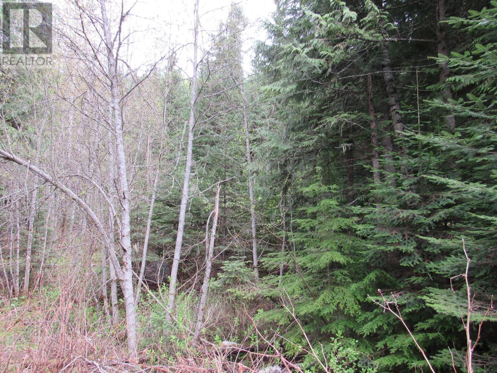 Lot B 3 Highway, Salmo, British Columbia  V0G 1Z0 - Photo 12 - 2476526