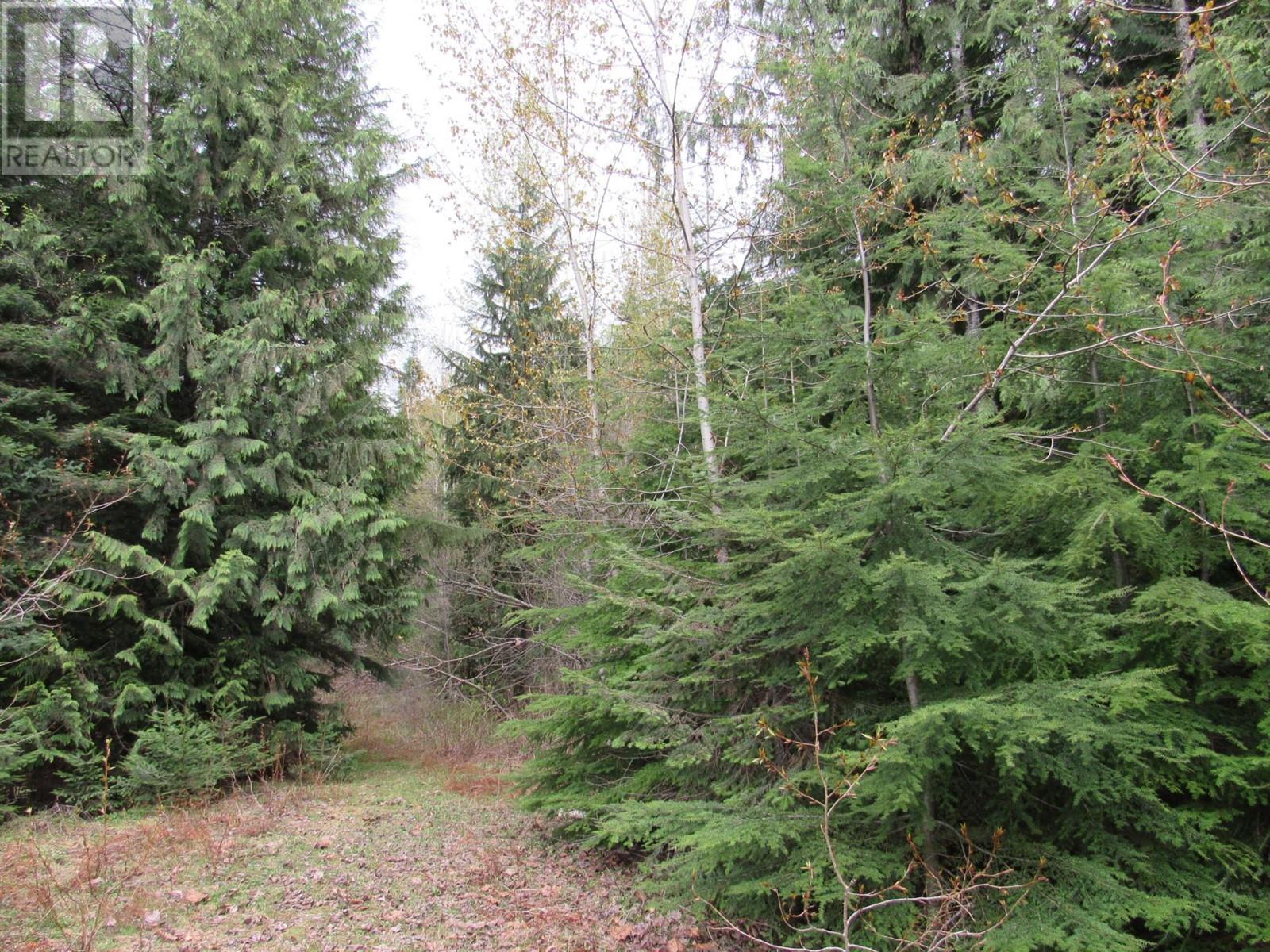 Lot B 3 Highway, Salmo, British Columbia  V0G 1Z0 - Photo 13 - 2476526