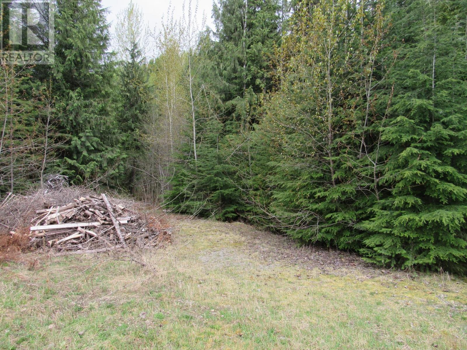 Lot B 3 Highway, Salmo, British Columbia  V0G 1Z0 - Photo 3 - 2476526