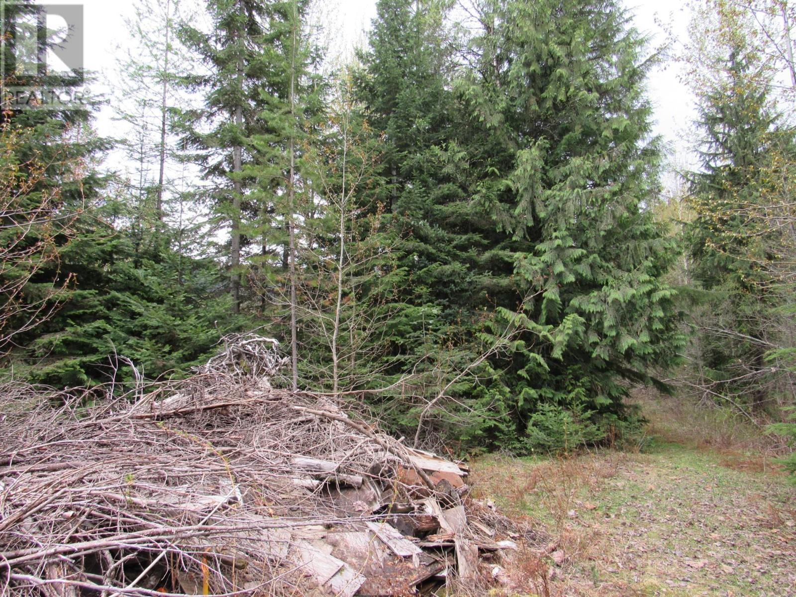 Lot B 3 Highway, Salmo, British Columbia  V0G 1Z0 - Photo 4 - 2476526