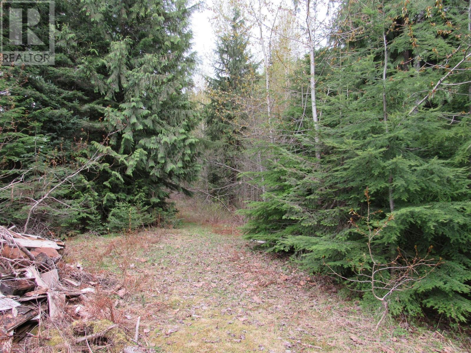 Lot B 3 Highway, Salmo, British Columbia  V0G 1Z0 - Photo 5 - 2476526