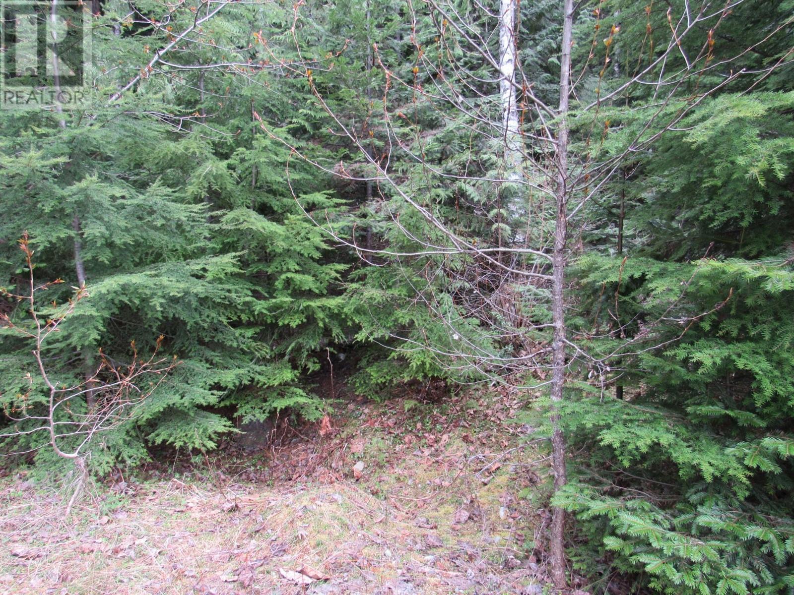 Lot B 3 Highway, Salmo, British Columbia  V0G 1Z0 - Photo 6 - 2476526