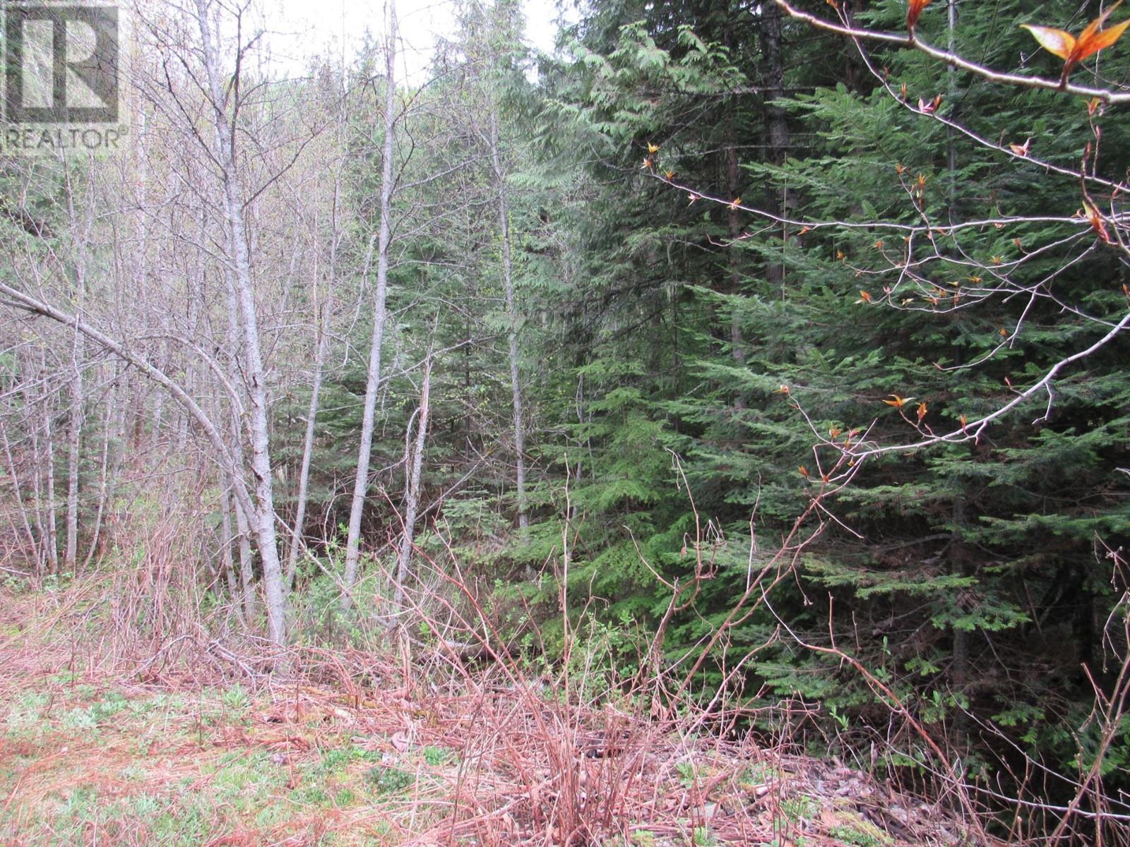 Lot B 3 Highway, Salmo, British Columbia  V0G 1Z0 - Photo 7 - 2476526