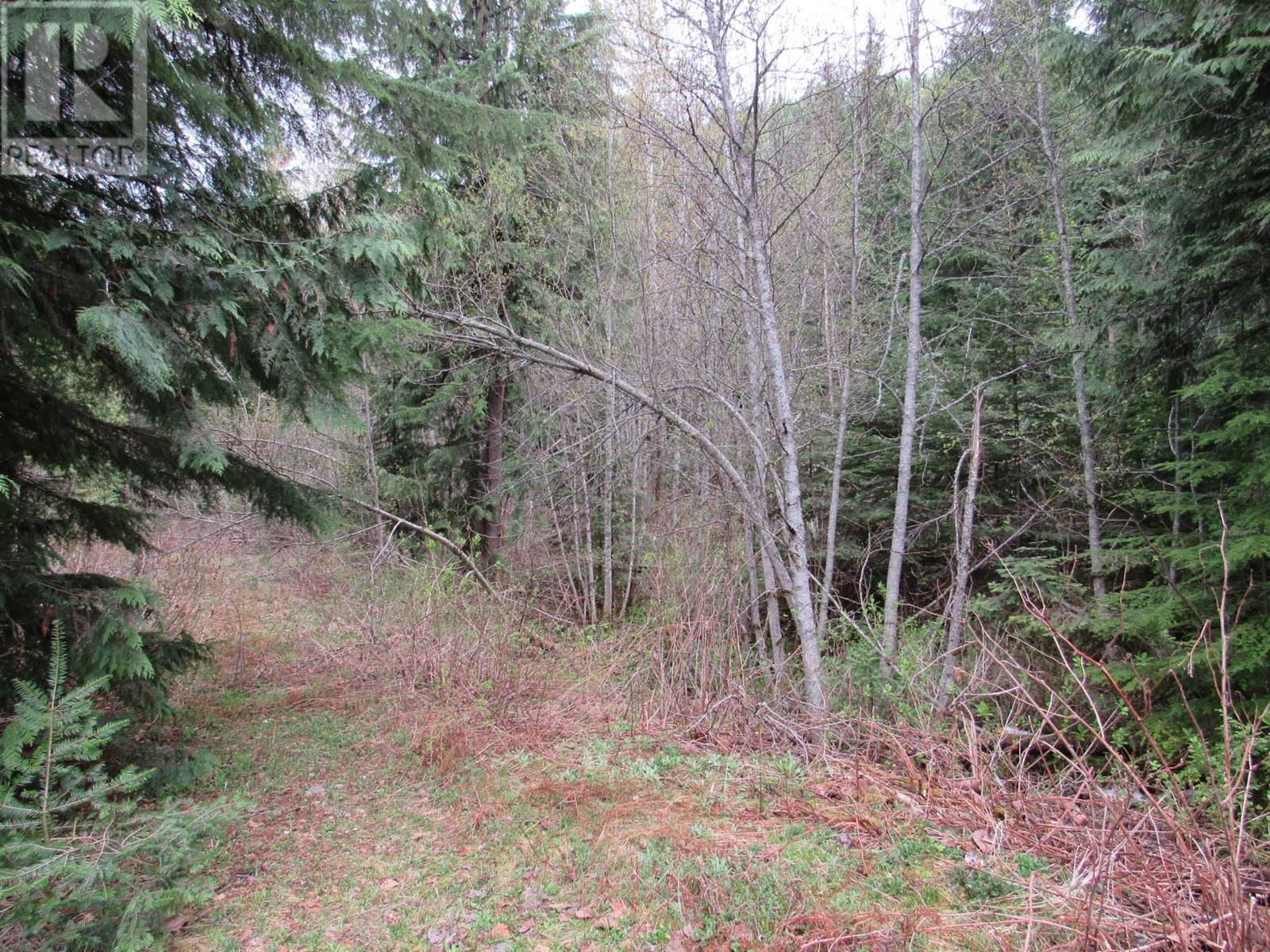 Lot B 3 Highway, Salmo, British Columbia  V0G 1Z0 - Photo 8 - 2476526