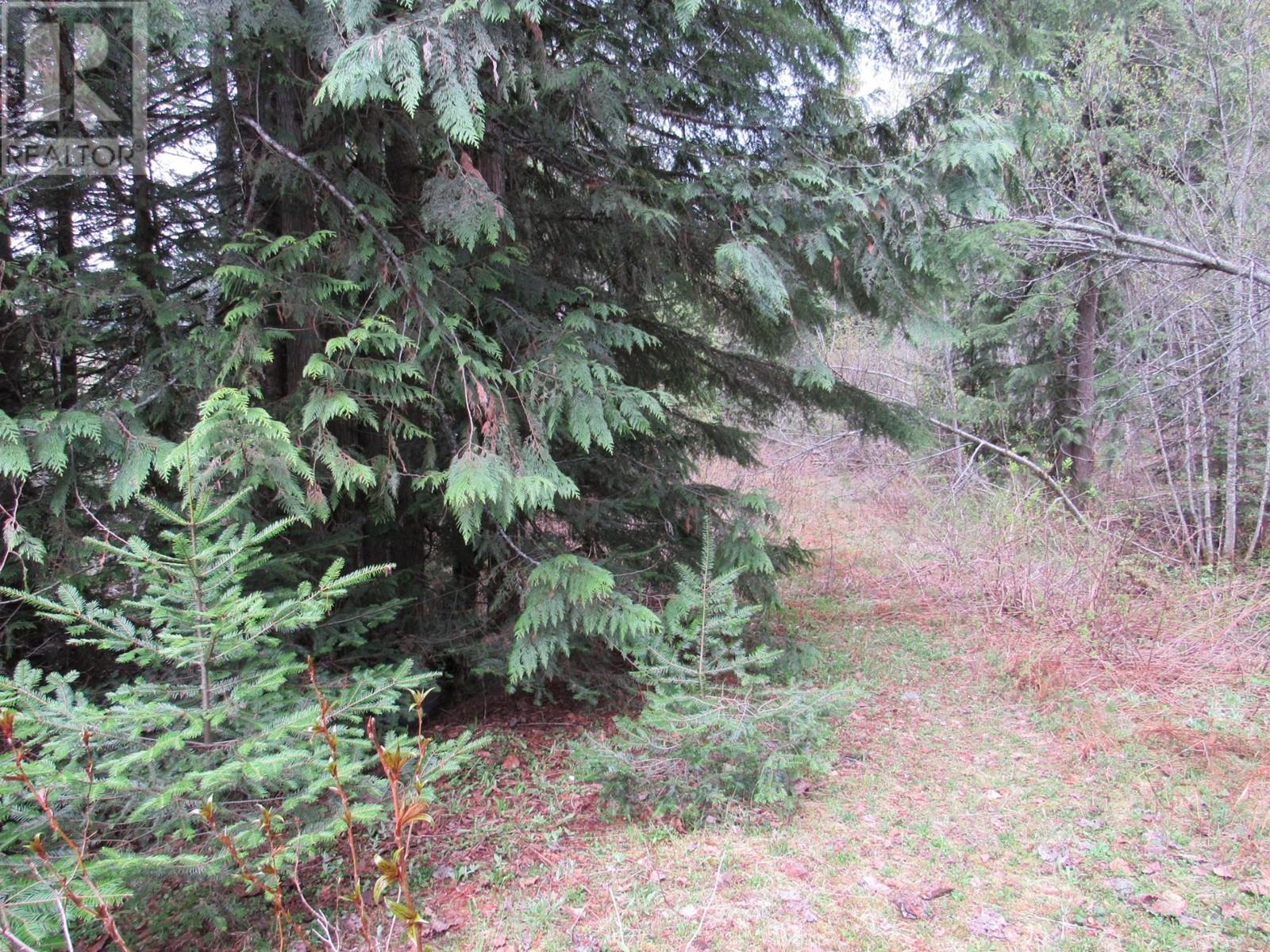 Lot B 3 Highway, Salmo, British Columbia  V0G 1Z0 - Photo 9 - 2476526