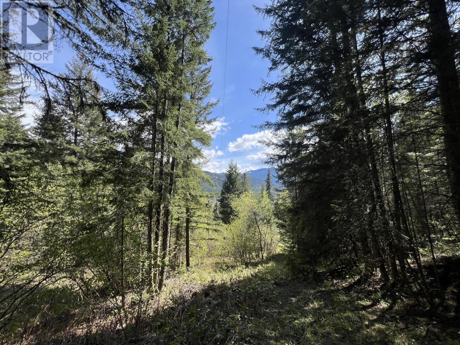 Lot 2 Lois Lane, Winlaw, British Columbia  V0G 2J0 - Photo 10 - 2476678