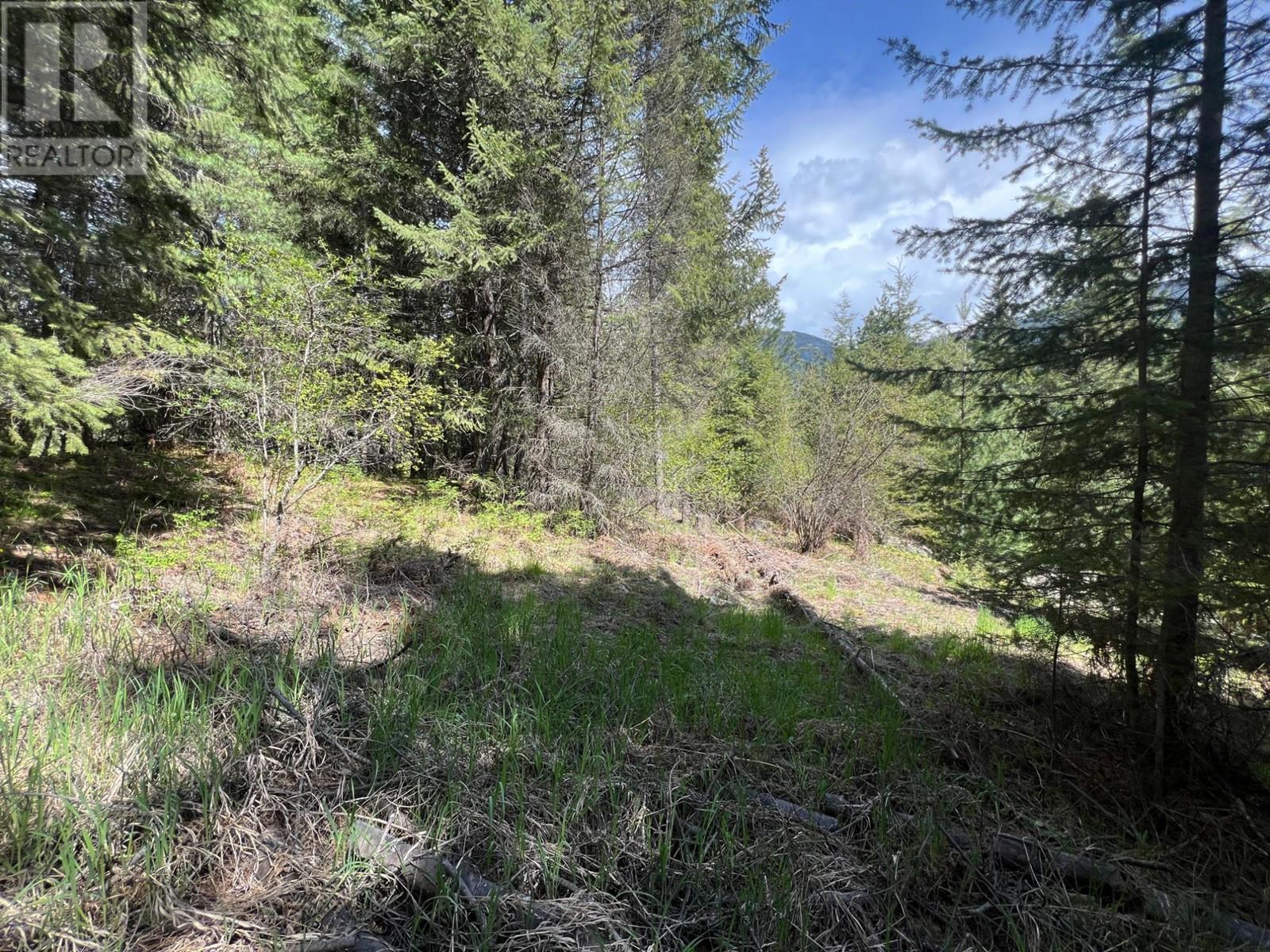 Lot 2 Lois Lane, Winlaw, British Columbia  V0G 2J0 - Photo 14 - 2476678