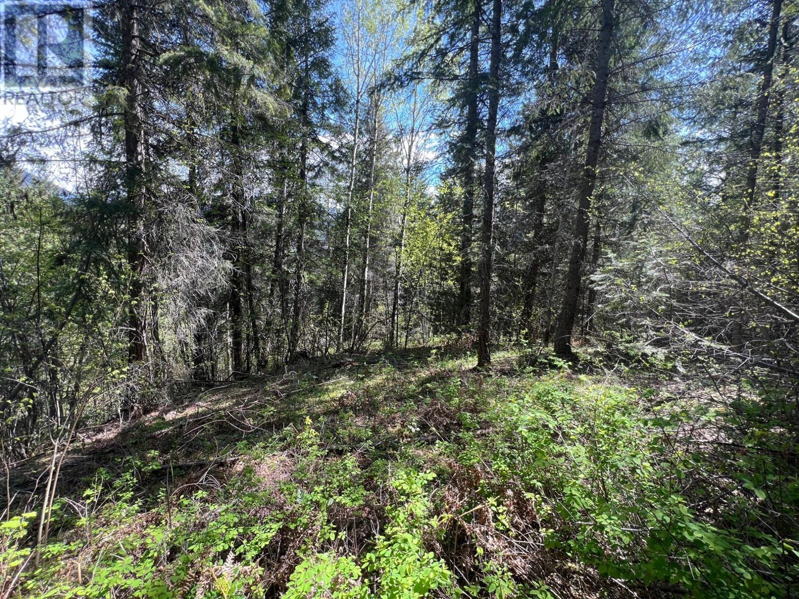 Lot 2 Lois Lane, Winlaw, British Columbia  V0G 2J0 - Photo 4 - 2476678