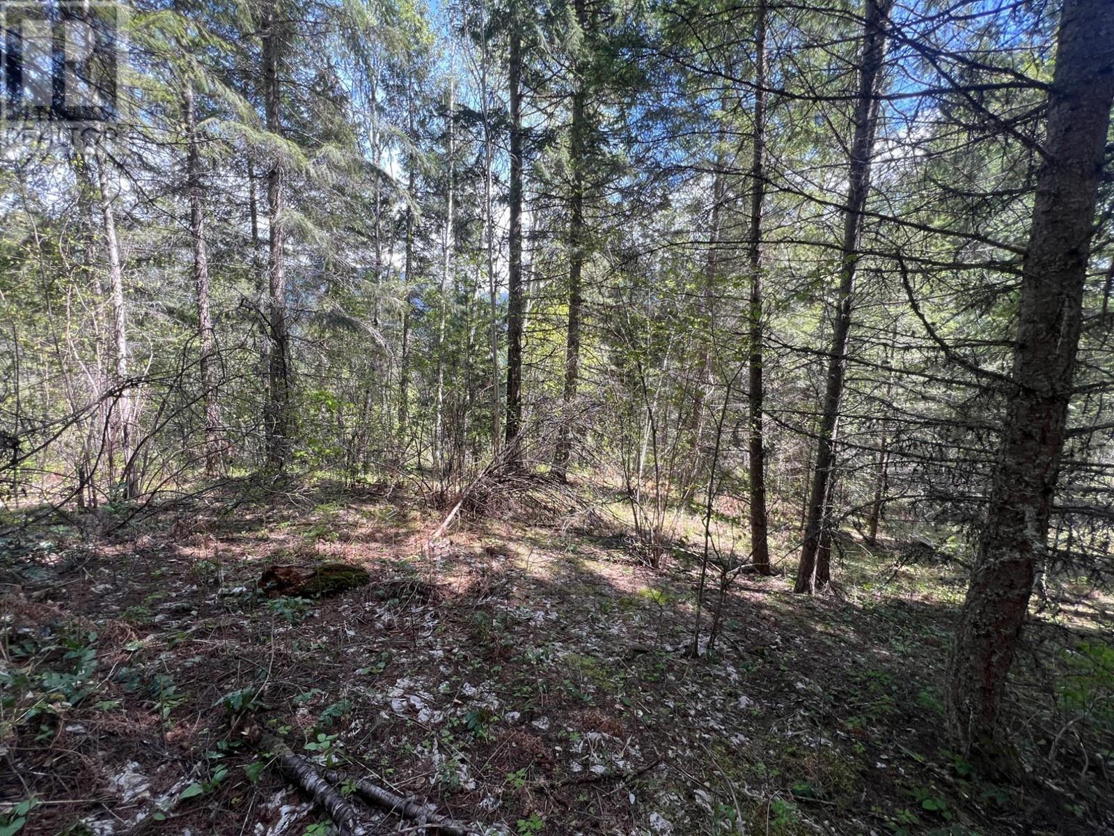 Lot 2 Lois Lane, Winlaw, British Columbia  V0G 2J0 - Photo 5 - 2476678