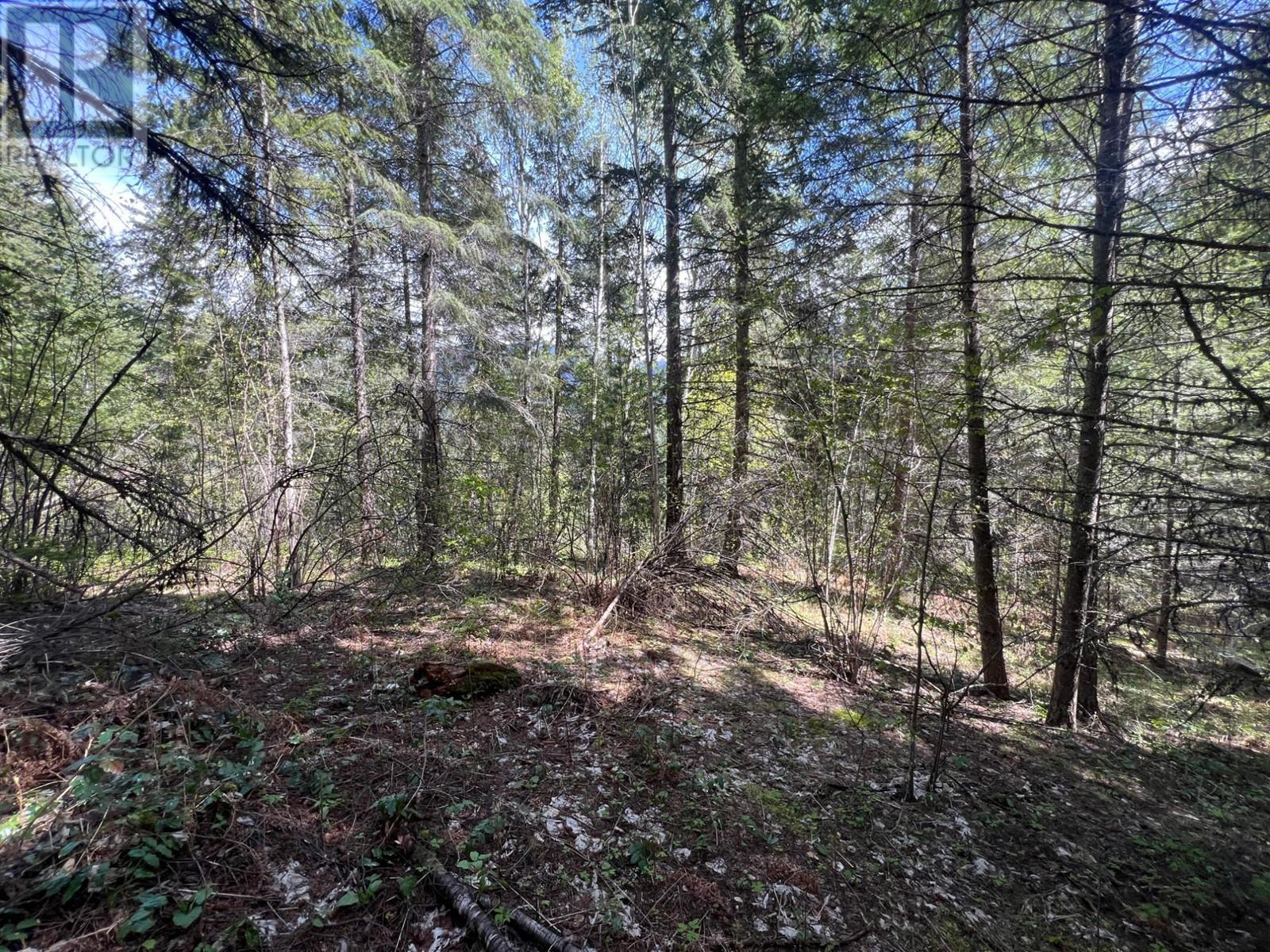 Lot 2 Lois Lane, Winlaw, British Columbia  V0G 2J0 - Photo 6 - 2476678