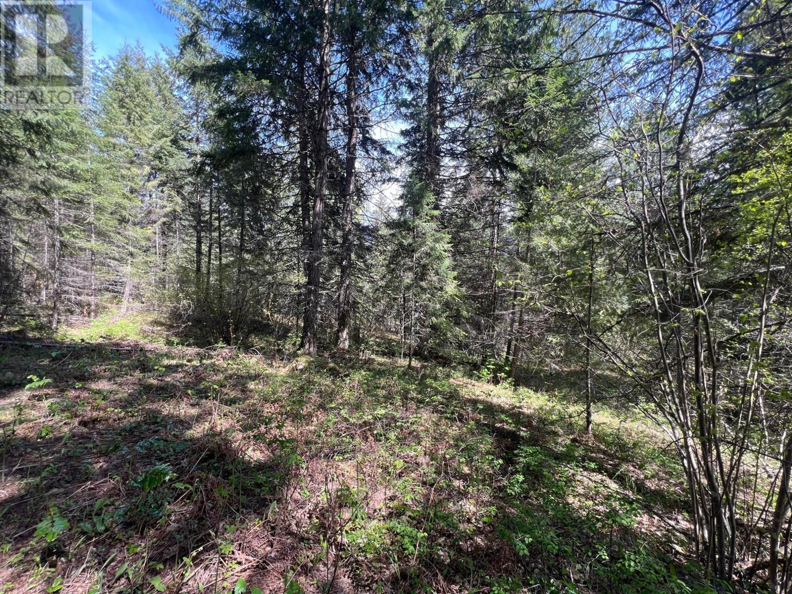 Lot 2 Lois Lane, Winlaw, British Columbia  V0G 2J0 - Photo 7 - 2476678