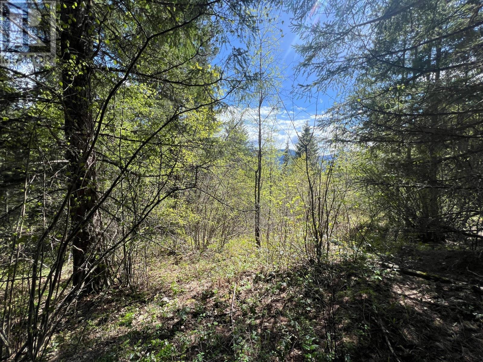 Lot 2 Lois Lane, Winlaw, British Columbia  V0G 2J0 - Photo 8 - 2476678