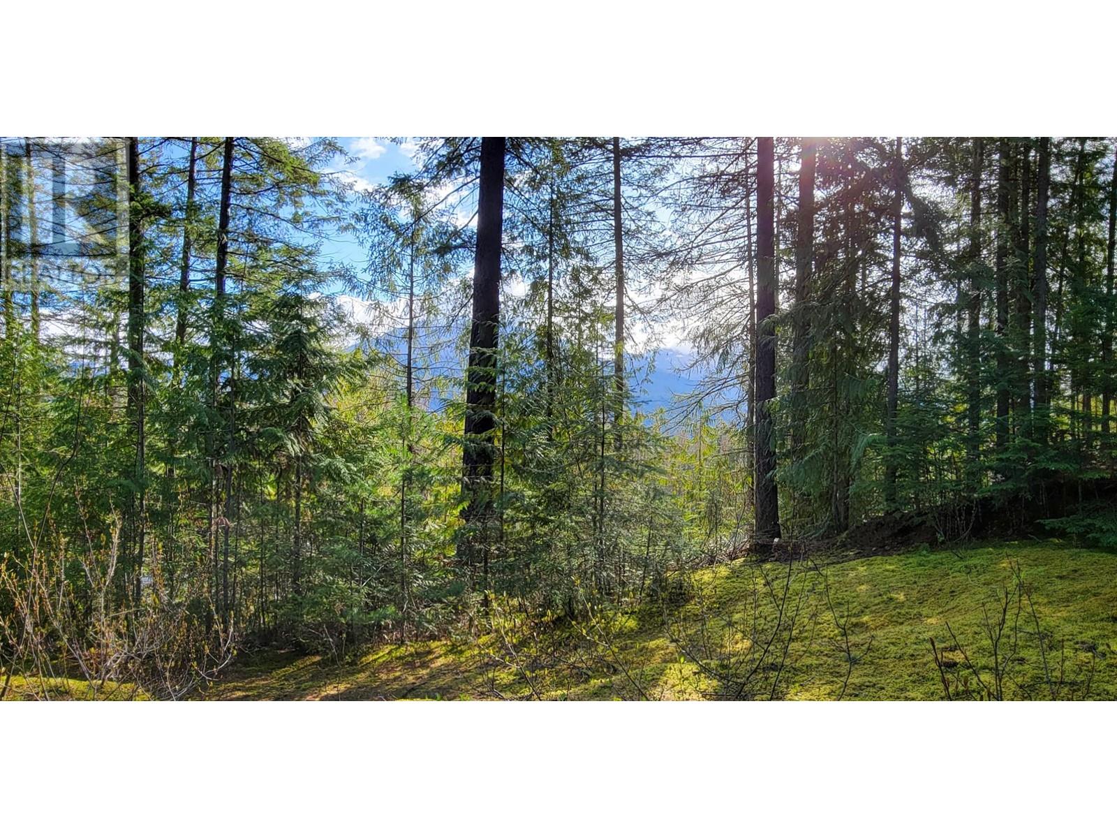 Lot 8 Balfour Avenue, Kaslo, British Columbia  V0G 1M0 - Photo 12 - 2476713