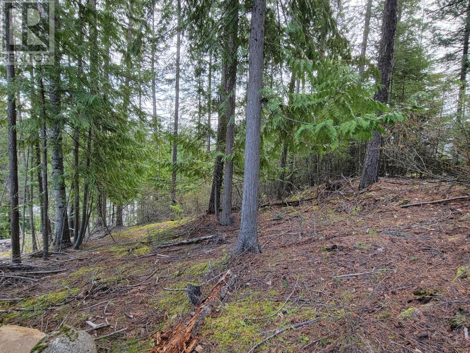 Lot 8 Balfour Avenue, Kaslo, British Columbia  V0G 1M0 - Photo 15 - 2476713